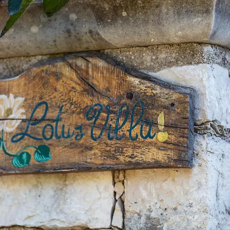 Aloe & Lotus Villa