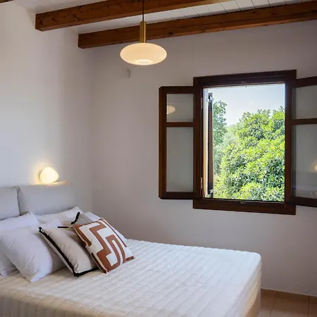 Aloe & Lotus Villa *