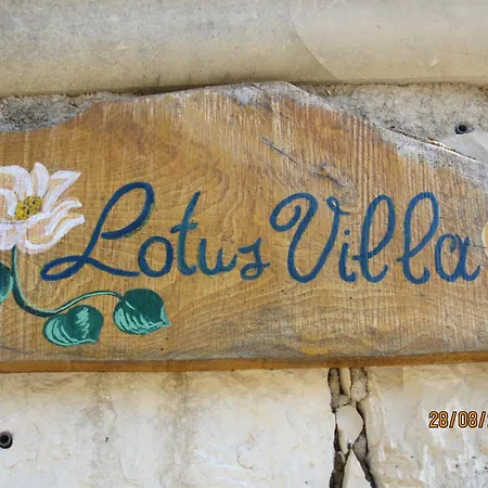 Aloe & Lotus *